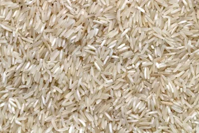 Soya Bean