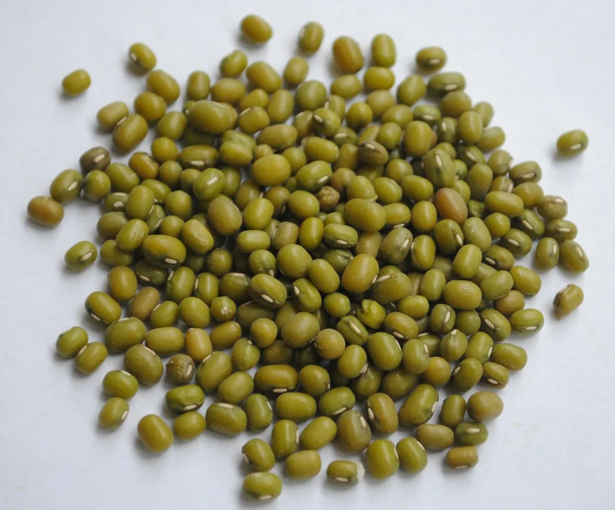 Mung Bean