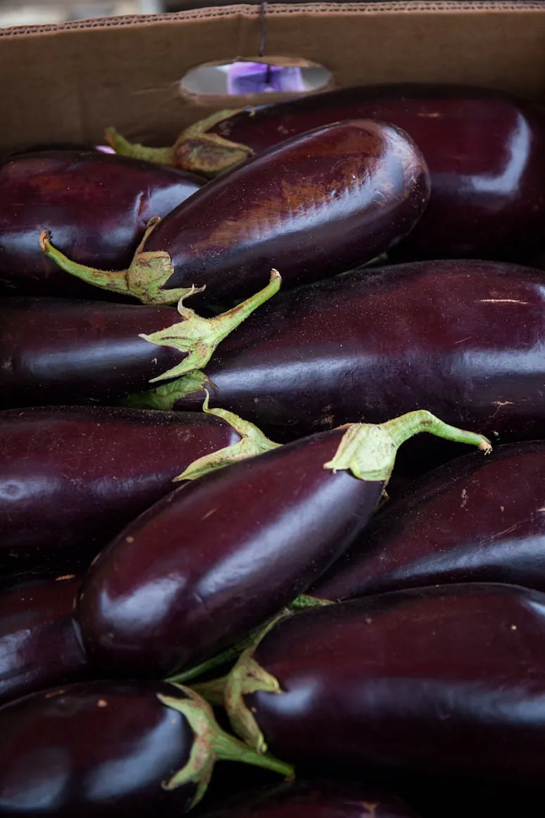 Eggplant
