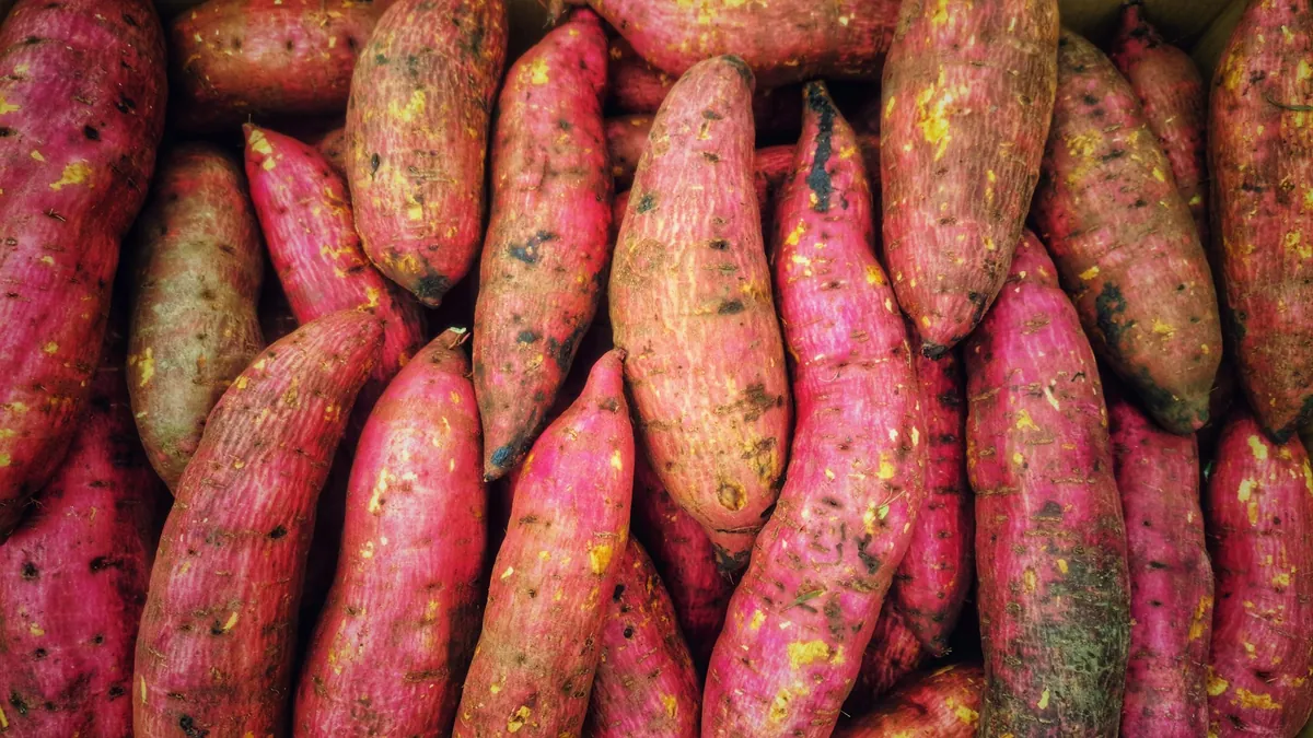 Sweet Potato