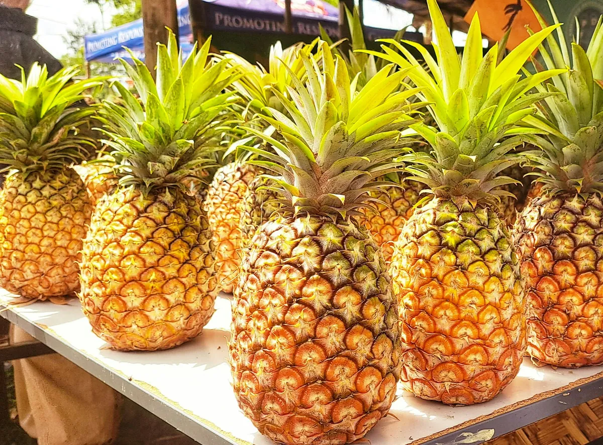 Pineapple