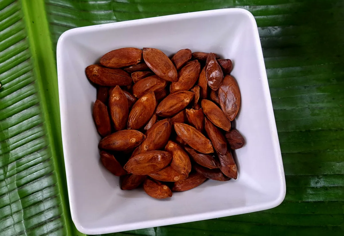 Galip Nut